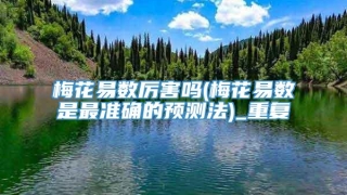 梅花易数厉害吗(梅花易数是最准确的预测法)_重复