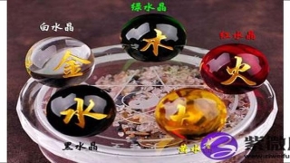 白蜡金命的人命运如何(白蜡金命是什么命运)