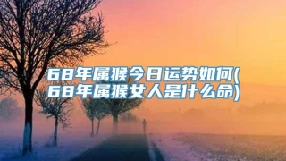 68年属猴今日运势如何(68年属猴女人是什么命)