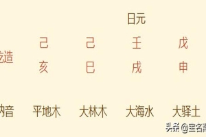 八字排盘免费算命2019(2019年出生的孩子是什么命)
