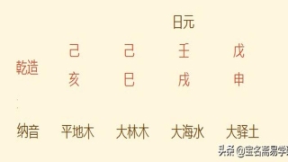八字排盘免费算命2019(2019年出生的孩子是什么命)
