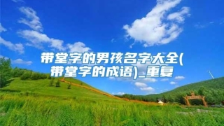 带堂字的男孩名字大全(带堂字的成语)_重复