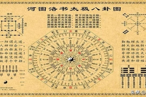 长竹老师梅花易数(梅花易数入门基础精解)