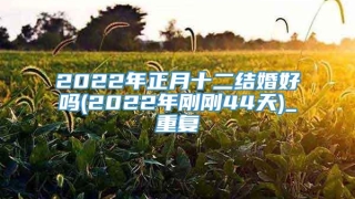 2022年正月十二结婚好吗(2022年刚刚44天)_重复
