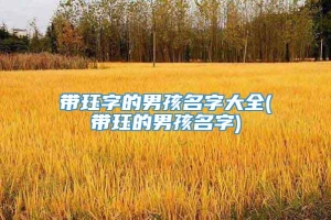 带珏字的男孩名字大全(带珏的男孩名字)