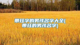 带珏字的男孩名字大全(带珏的男孩名字)