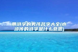 带浒字的男孩名字大全(水浒传的浒字是什么意思)