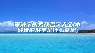 带浒字的男孩名字大全(水浒传的浒字是什么意思)
