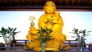 八字测命中有无男孩(送子观音查子)