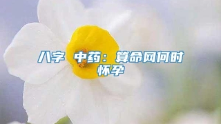 八字 中药：算命网何时怀孕