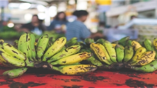 董子健孙怡几岁结婚的(孙怡与董子健结婚5年)