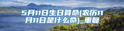 5月11日生日算命(农历11月11日是什么命)_重复