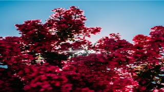 分手后频繁梦到前任(分手一直梦到前任)_重复