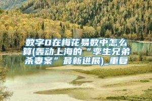 数字0在梅花易数中怎么算(轰动上海的“孪生兄弟杀妻案”最新进展)_重复