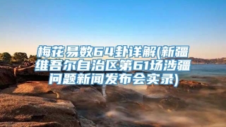 梅花易数64卦详解(新疆维吾尔自治区第61场涉疆问题新闻发布会实录)