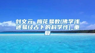 刘文元 梅花易数(佛学浅述易经占卜的科学性)_重复