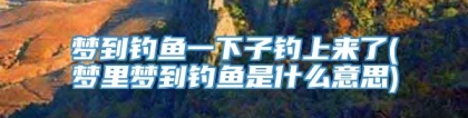梦到钓鱼一下子钓上来了(梦里梦到钓鱼是什么意思)