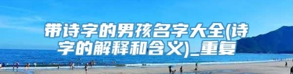 带诗字的男孩名字大全(诗字的解释和含义)_重复