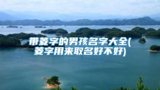 带菱字的男孩名字大全(菱字用来取名好不好)