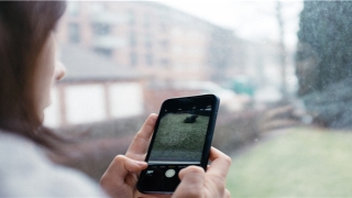 2022年各生肖运程(2022年运势及运程每月运程)_重复