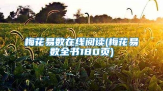 梅花易数在线阅读(梅花易数全书180页)