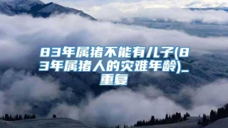 83年属猪不能有儿子(83年属猪人的灾难年龄)_重复