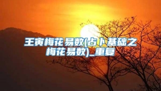 王寅梅花易数(占卜基础之梅花易数)_重复