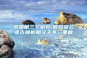 婚姻树三个树枝(厦同安公婆古樟树相守千年)_重复