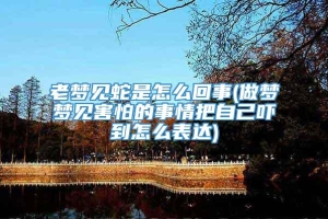 老梦见蛇是怎么回事(做梦梦见害怕的事情把自己吓到怎么表达)