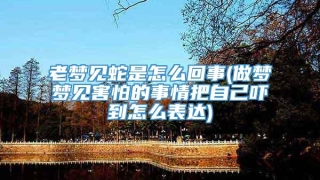 老梦见蛇是怎么回事(做梦梦见害怕的事情把自己吓到怎么表达)