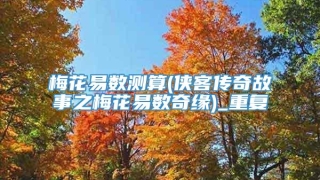 梅花易数测算(侠客传奇故事之梅花易数奇缘)_重复