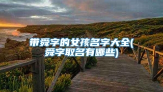 带舜字的女孩名字大全(舜字取名有哪些)