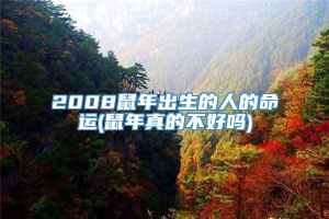 2008鼠年出生的人的命运(鼠年真的不好吗)