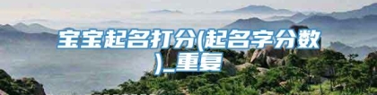 宝宝起名打分(起名字分数)_重复