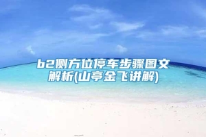 b2侧方位停车步骤图文解析(山亭金飞讲解)