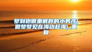 梦到抱很重很胖的小男孩(做梦梦见在海边赶海)_重复