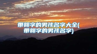 带翱字的男孩名字大全(带翱字的男孩名字)