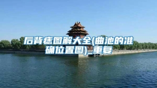 后背痣图解大全(曲池的准确位置图)_重复