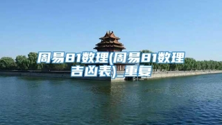 周易81数理(周易81数理吉凶表)_重复