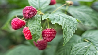 带辽字内涵丰富好名字(辽字的意思是什么)