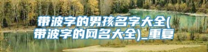 带波字的男孩名字大全(带波字的网名大全)_重复