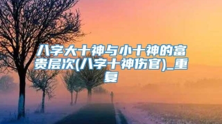 八字大十神与小十神的富贵层次(八字十神伤官)_重复