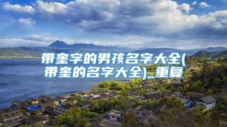 带奎字的男孩名字大全(带奎的名字大全)_重复