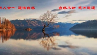 梅花易数针灸(易经占卜的原理)