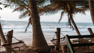 梦到骑车骑的特别快(梦到骑车骑的特别快停不下来)