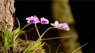 爱情的句子八字唯美短句(八字暖心情话可加名字)