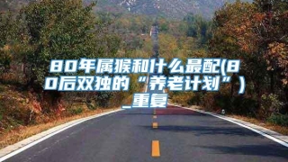80年属猴和什么最配(80后双独的“养老计划”)_重复