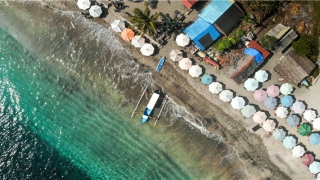 财是什么意思(让金钱快速繁殖的最优方法)