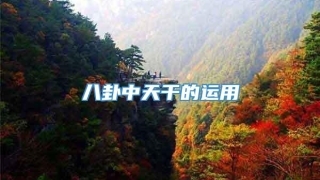 八卦中天干的运用