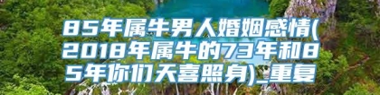 85年属牛男人婚姻感情(2018年属牛的73年和85年你们天喜照身)_重复